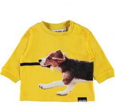 Dan Sweaters